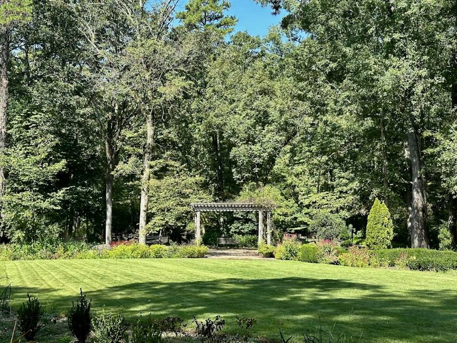 Green park with a gazebo