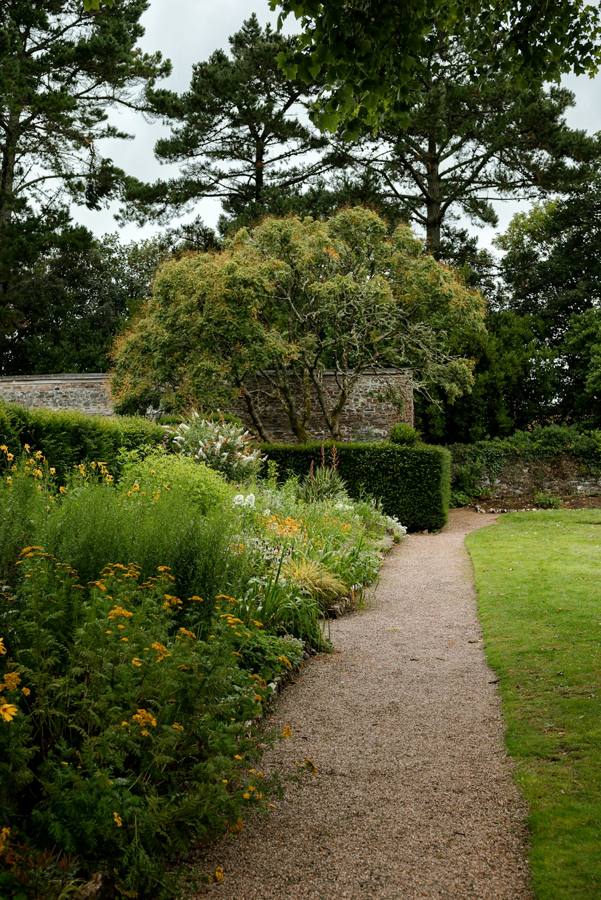 Garden path lined with flowers