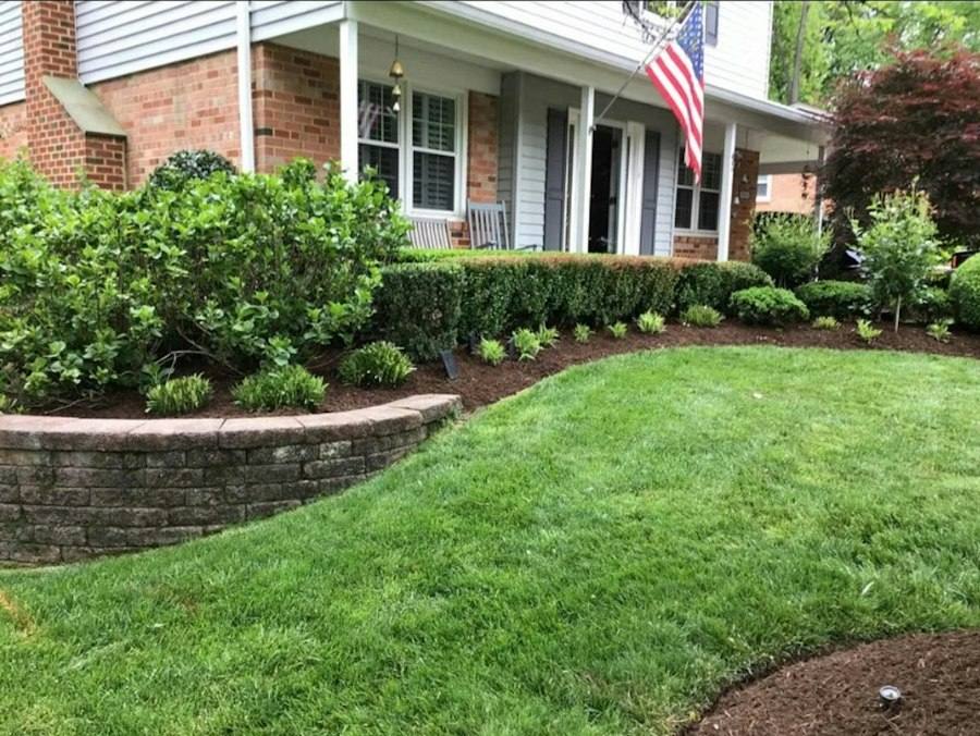 House with lawn and landscaping