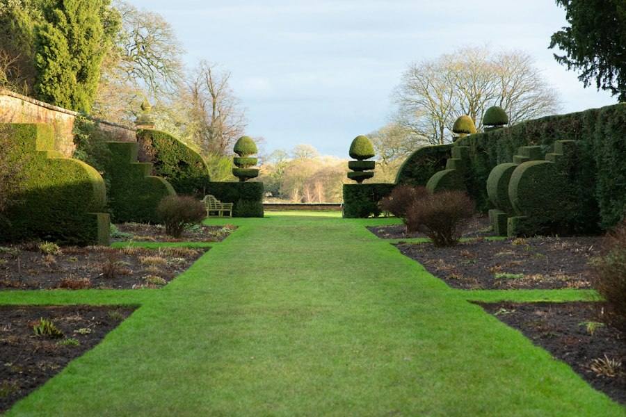 Long green lawn lined with trees