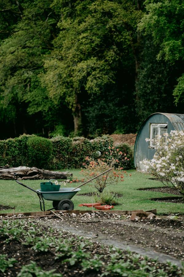 Wheelbarrow in a garden