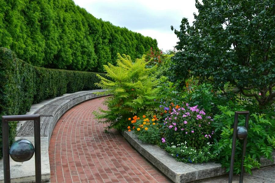 Brick garden path through flower beds