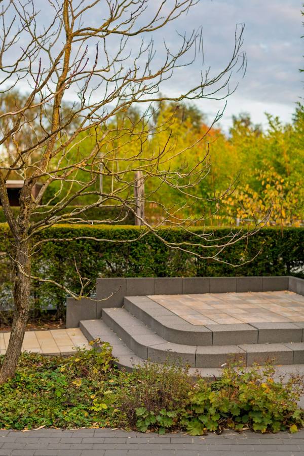 Curved stone steps leading to a paved patio