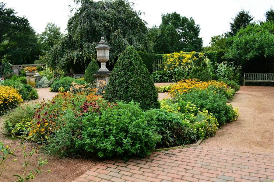 Garden filled with flowers